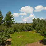Pine Tree Family House