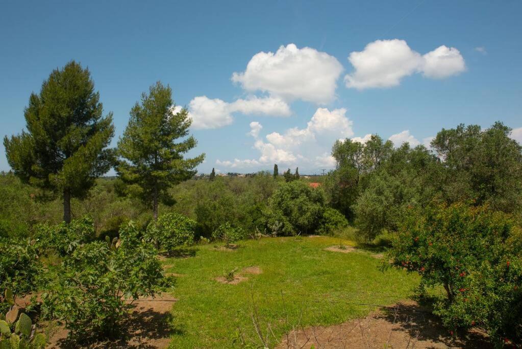 Apartment Pine Tree Family House Lefkimmi (Corfu)